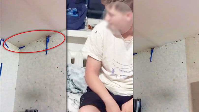 Studenții de la UTM se plâng de gândaci în căminul nr. 26 din Chișinău