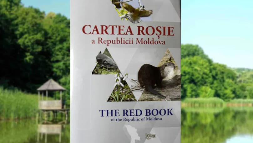 Republica Moldova va actualiza Cartea Roșie: Zeci de specii vor fi incluse