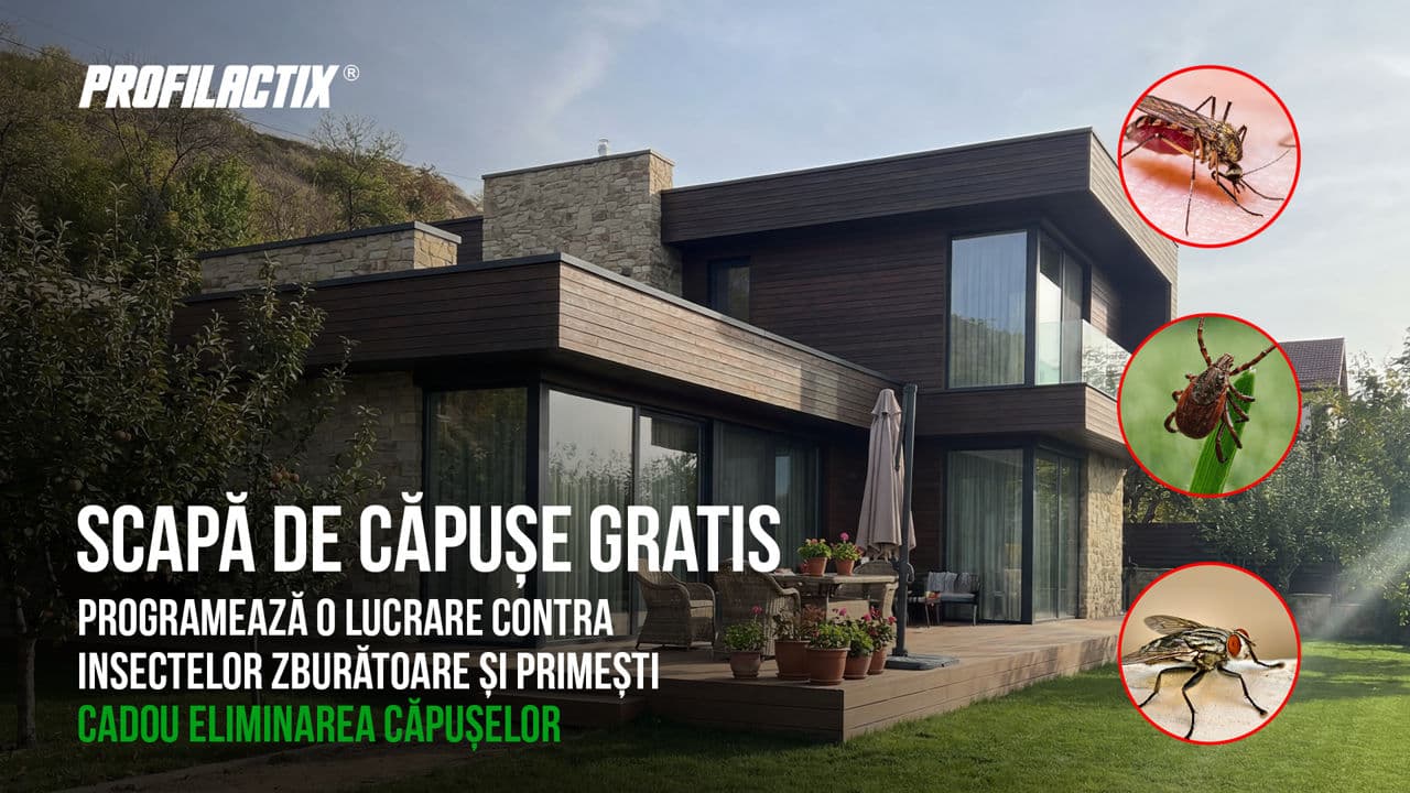 Profilactix: Elimină muștele și țânțarii, căpușele sunt cadou Ⓟ