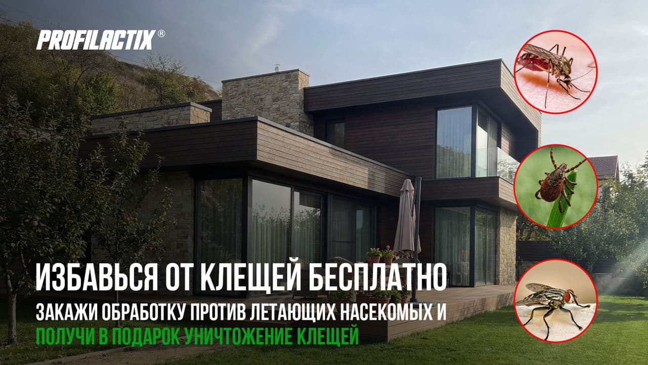 Profilactix: Beneficiază de distrugerea căpușelor la comandarea tratamentului pentru muște și țânțari