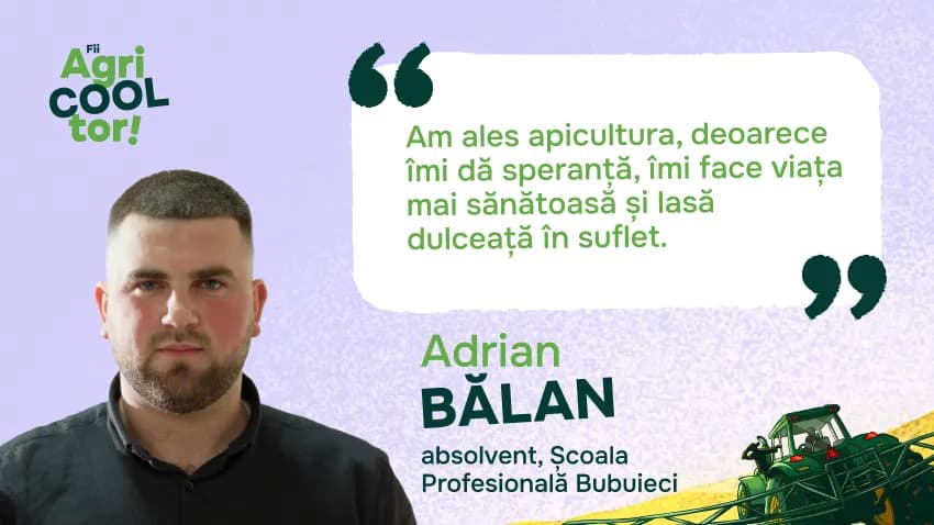 Tinerii din Moldova investesc în apicultură pentru un viitor prosper