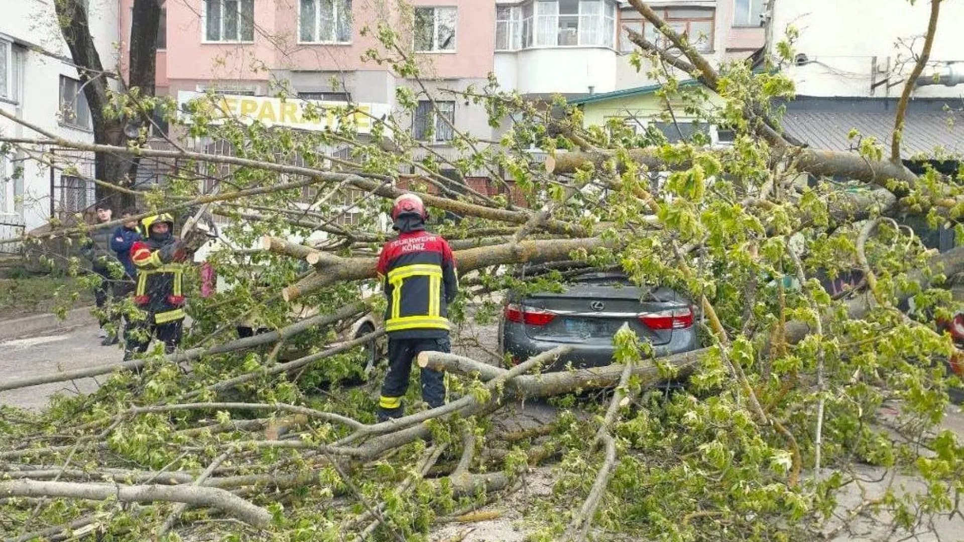 Consecințele ploilor din 2 iunie 2026: Copaci doborâți și risc de explozie la Chișinău