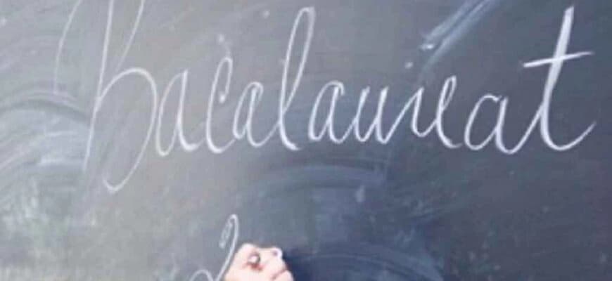Ministerul Educației clarifică situația subiectelor de bacalaureat - VIDEO